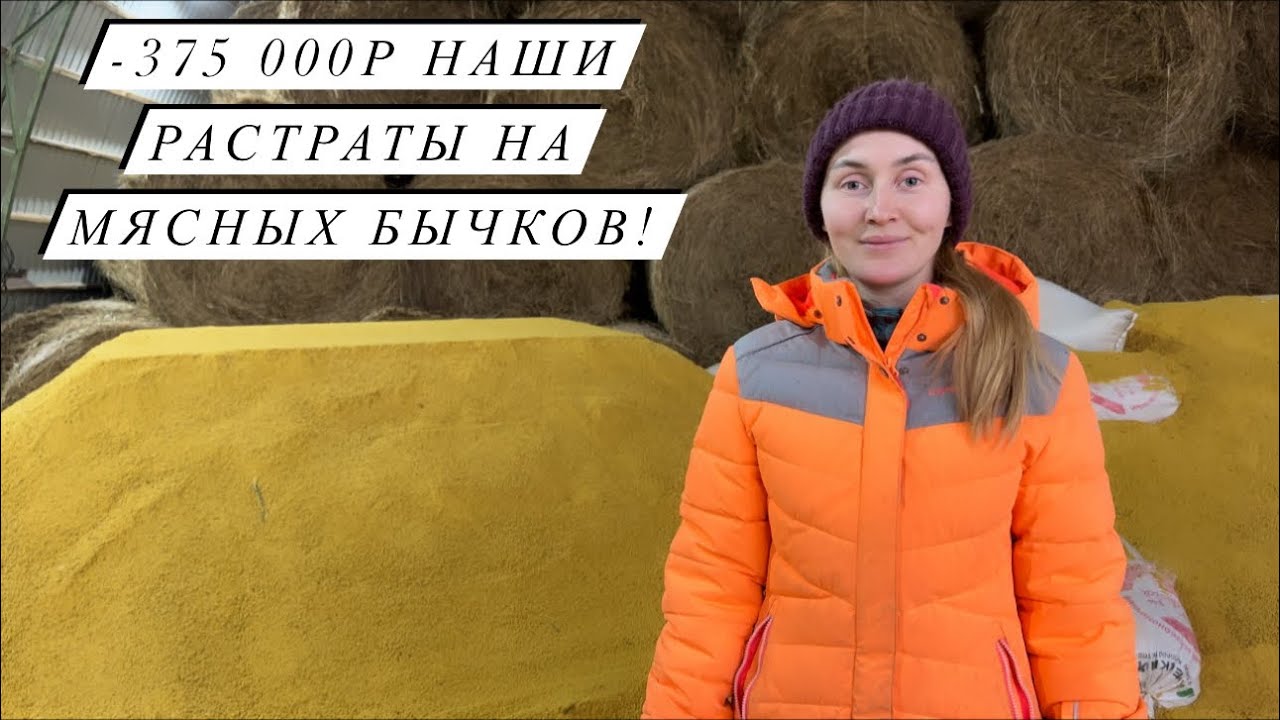Стройка на новой ферме идет полным ходом! Вывозим сено с полей и крутим сенаж!