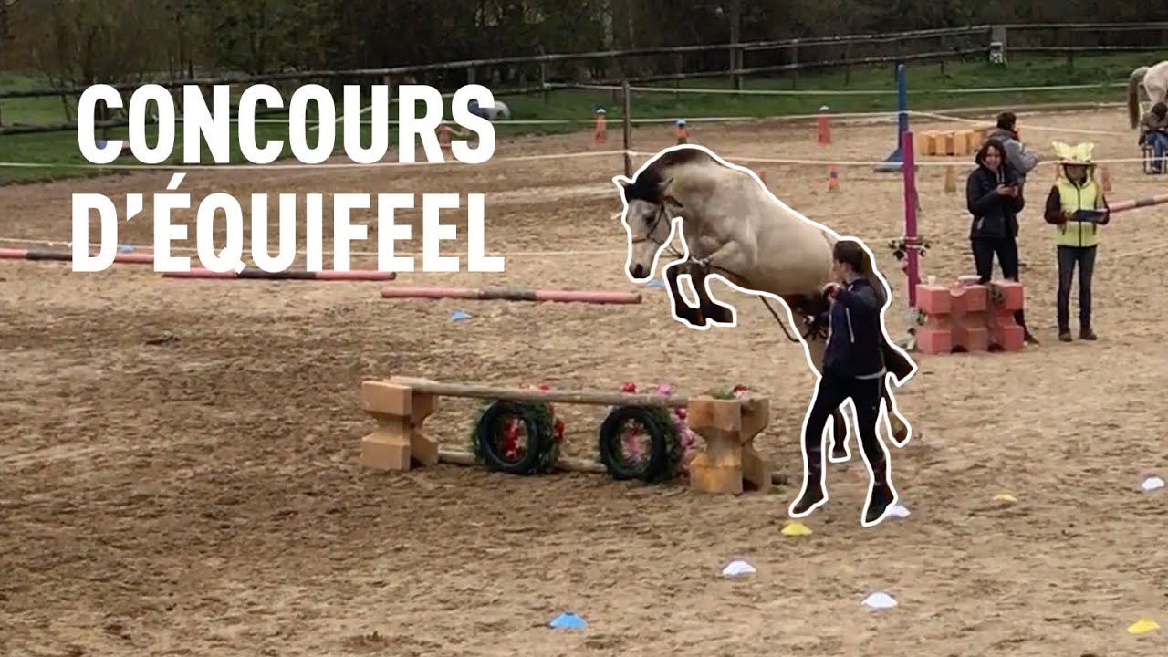 [ÉQUIFEEL] Club 1 et club élite