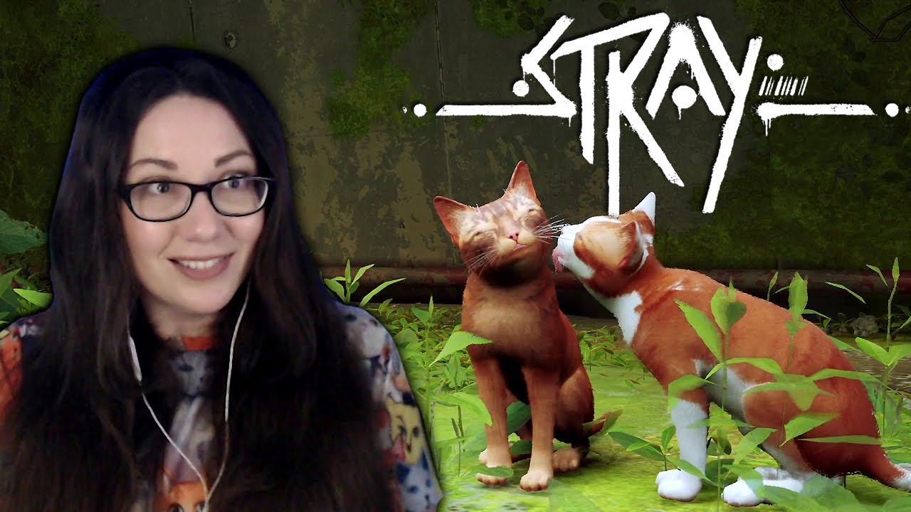 Stray Is A Purrfect Game! | Stray Part 1 Gameplay Walkthrough Reaction