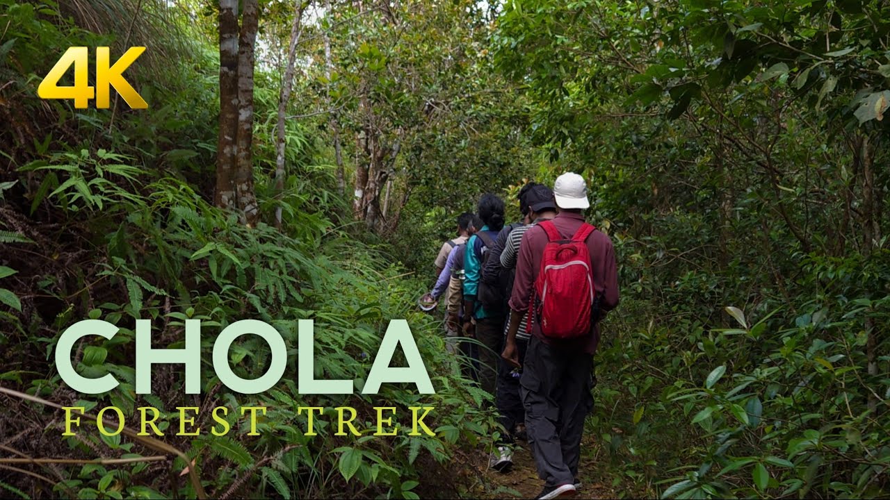 Chola Trek Ponmudi | Kallar Golden Valley Eco-Tourism |