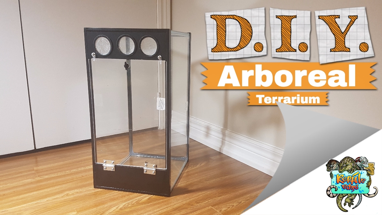 $25 Arboreal Terrarium - Crested Gecko Setup