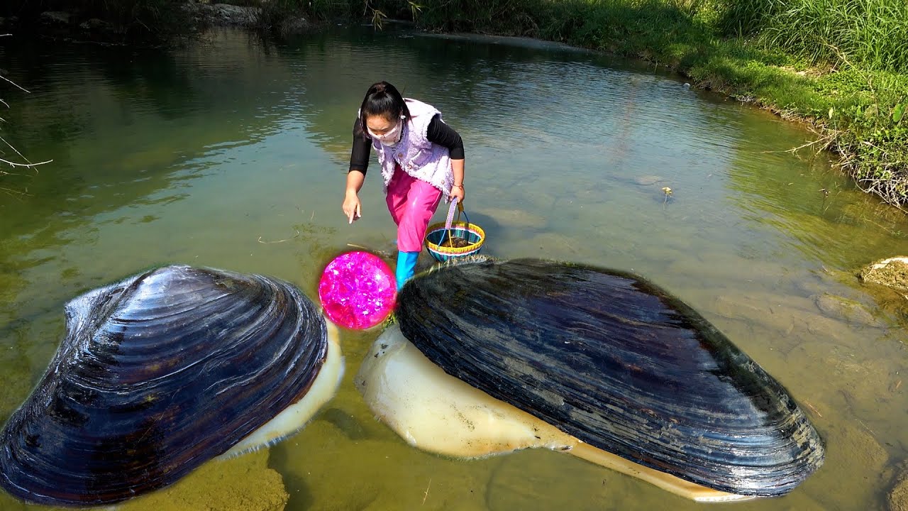 🎁Open the pearl secret hidden in the giant clam, I accidentally enter the door of wealth