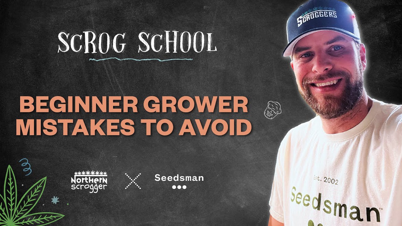 S3/Ep6 - Begginer Grower Tips to Avoid - SCROG SCHOOL