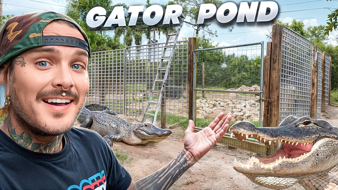 GATOR POND is ALMOST DONE! 