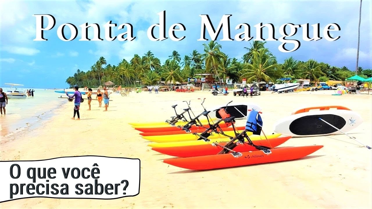 O que você precisa saber do Caribe Brasileiro de Maragogi AL?
