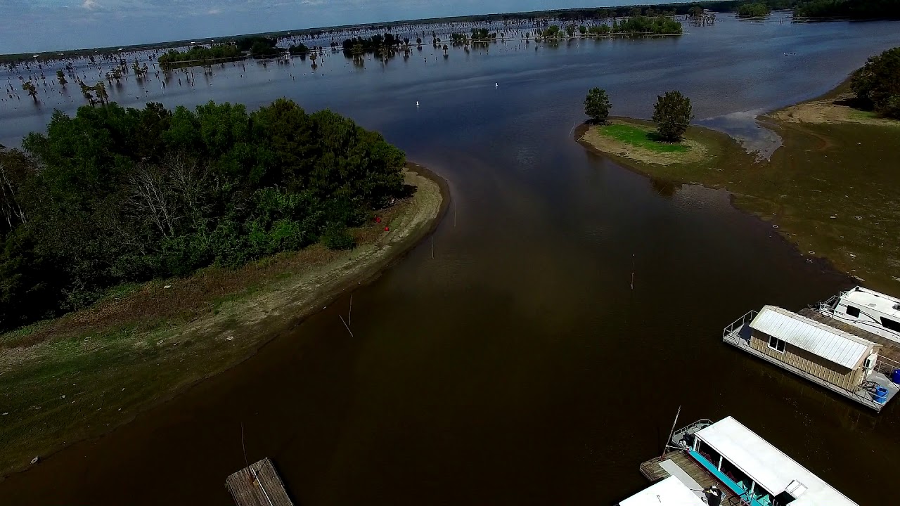Swamp Lake