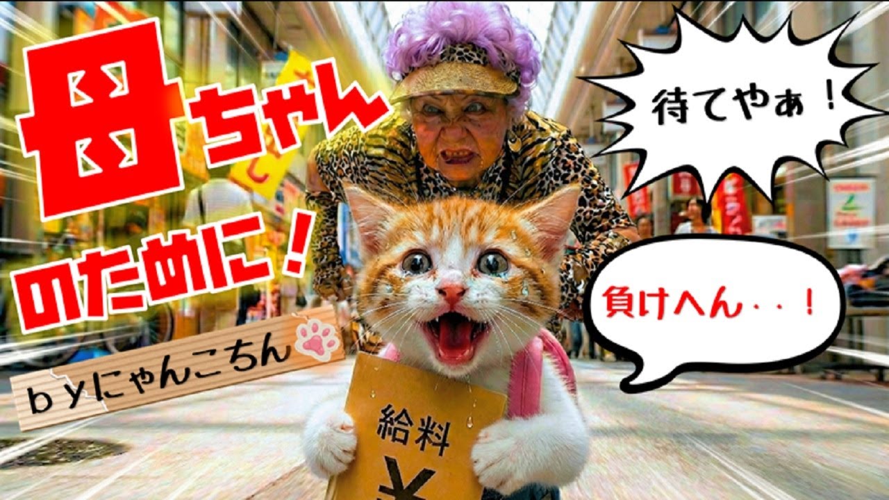【神回】母の誕生日に涙の激走！2,980円の最後の1着をかけた子猫vsオバチャンの結末【AI猫にゃんこちん】