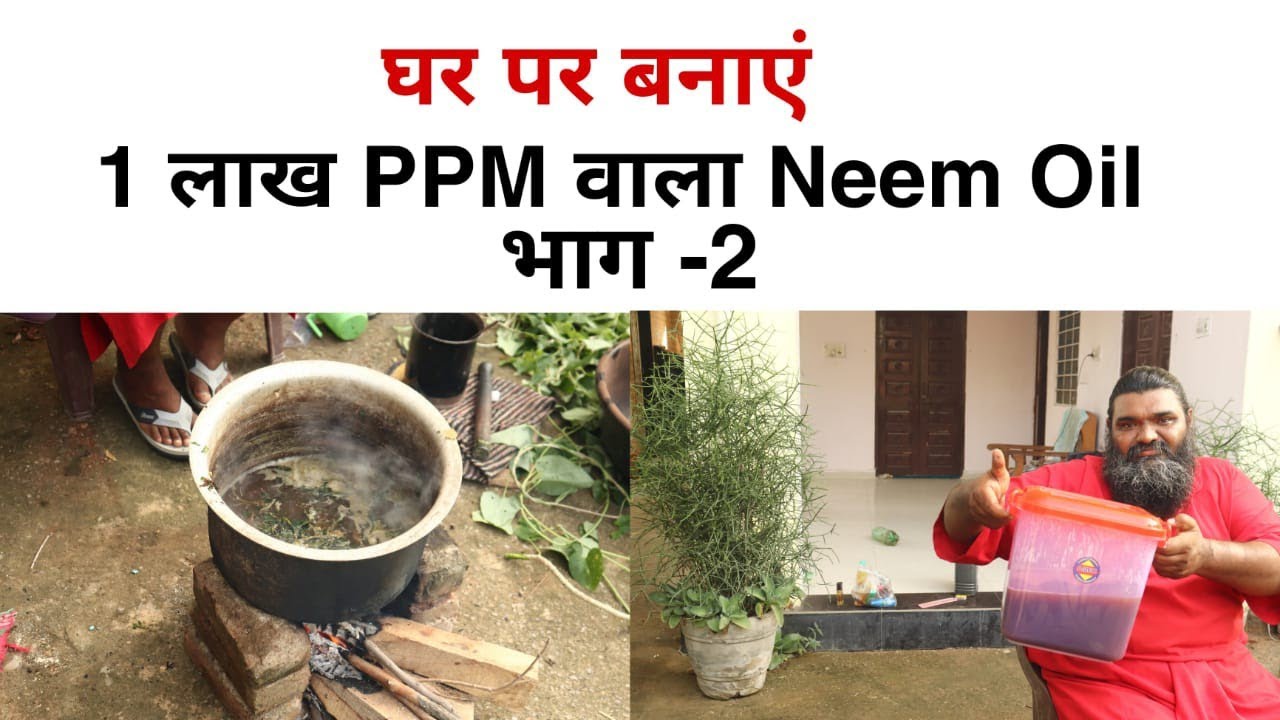 गुरुजी ने बनाया दुनिया का पहला 1 लाख PPM वाला Neem Oil भाग -2