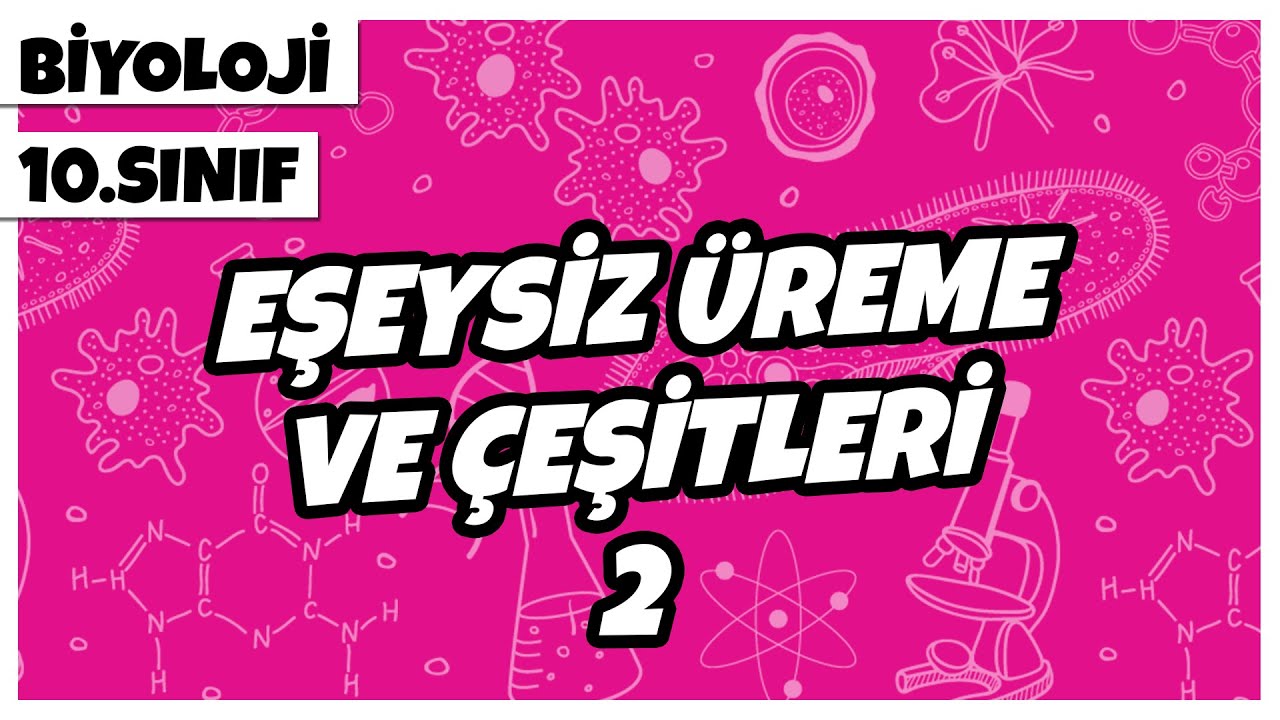 10. Sınıf Biyoloji - Eşeysiz Üreme ve Çeşitleri -2 | 2022