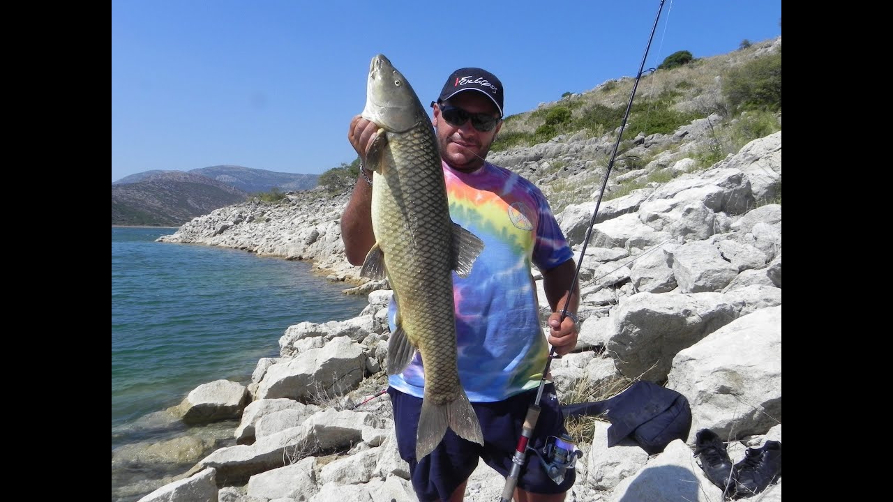 Freshwater Spinning: In the search of the great Barbel