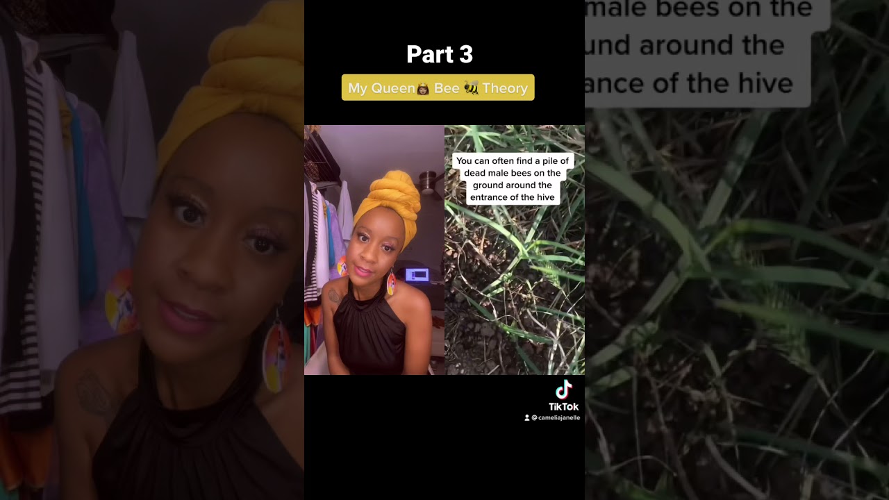 Honey Bee 🐝 Theory [part 3]: Male Drones are also Human men (my comments are yellow)