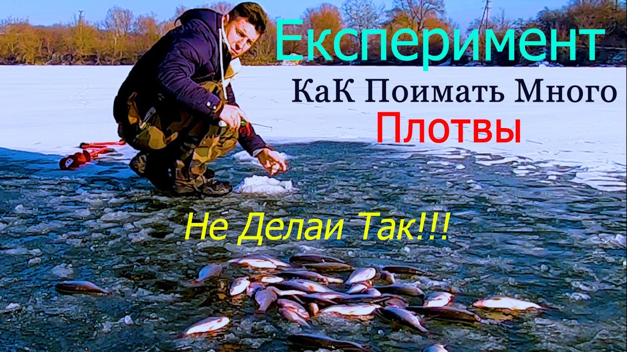 Как Поймать Много Плотвы в Январе !!! Лучшая Прикормка для Ловли Плотвы Зимой!!!