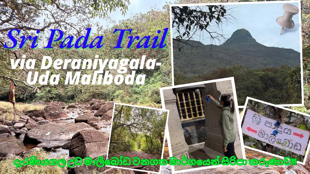 Deraniyagala Udamaliboda Forest Trail 🌿⛰️ 🌄🙏✨ දැරණියගල උඩ මාලිබෝඩ වනගත මාර්ගයෙන් සිරිපා කරුණාව!!! 🌿💚