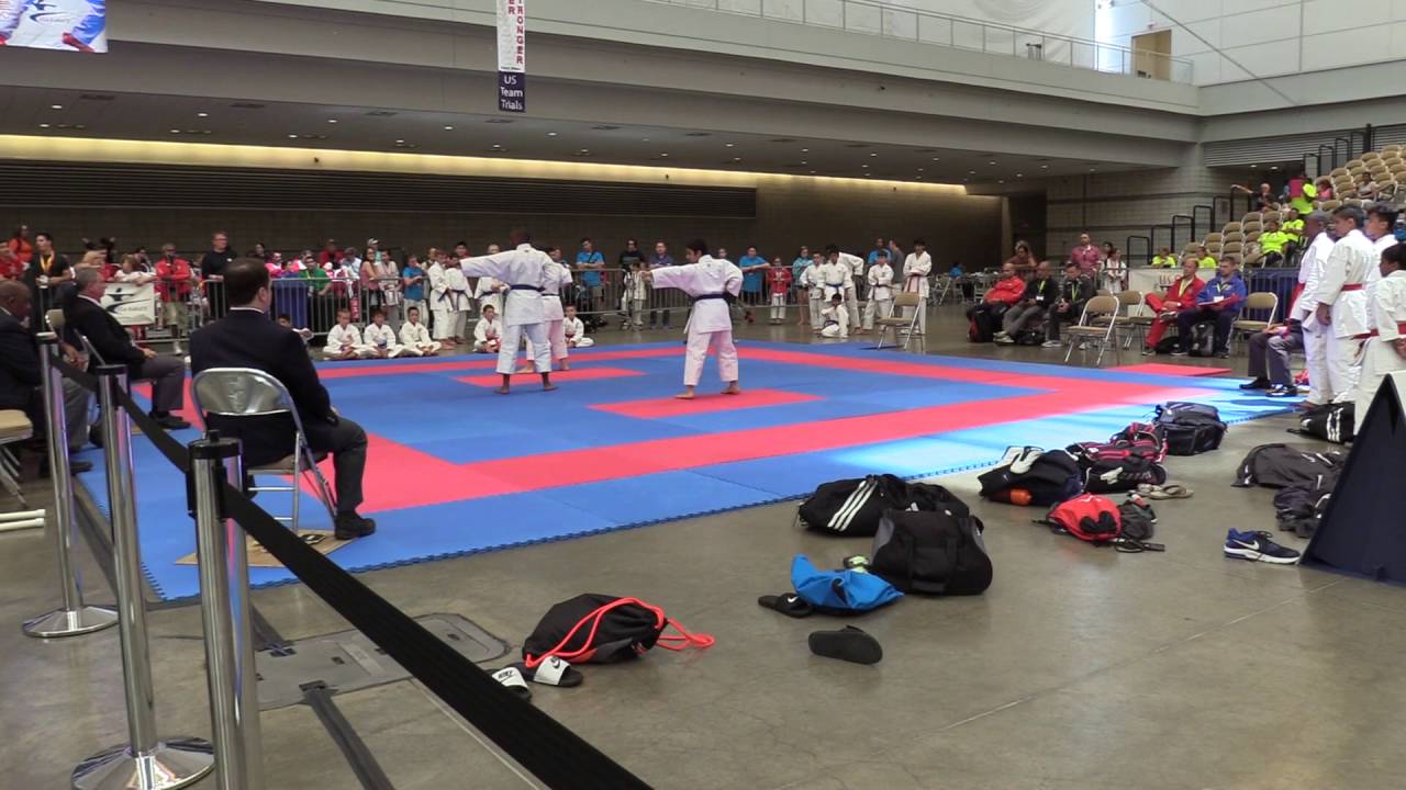 WIKF TX Team 1 Kata 10 13yr Male Int:Adv