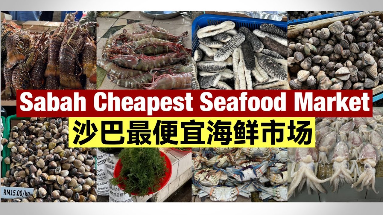 沙巴亚庇最便宜的海鲜市场 | 沙巴旅游必逛 | Cheapest Seafood Market in Sabah Kota Kinabalu