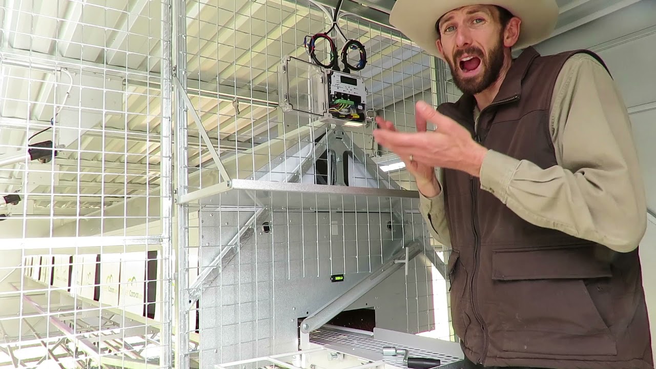 Chicken Caravan 450 Free range Coop for 450 hens