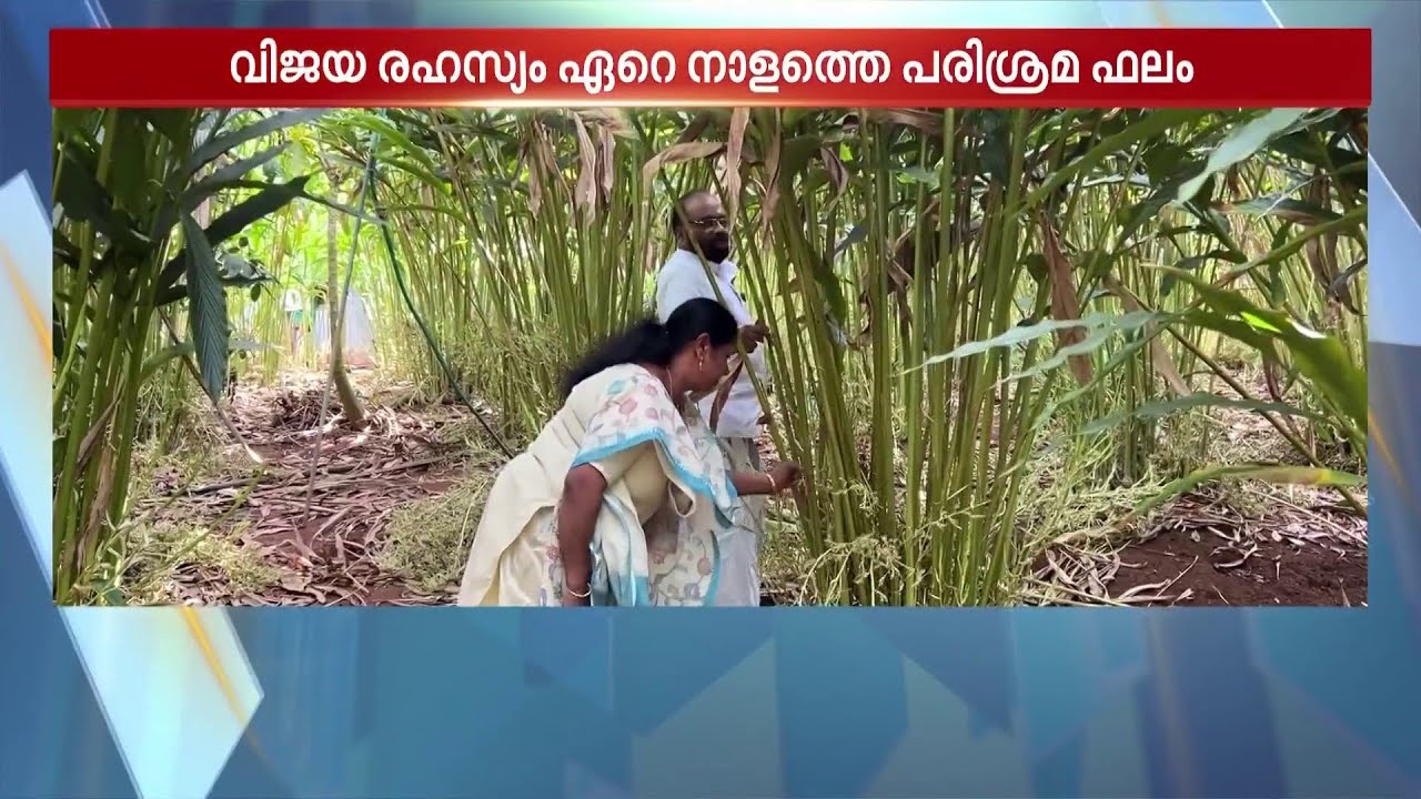 ഏത് വെറൈറ്റി ഏലയ്ക്കാ വേണം? ഇങ്ങോട്ട് പോരൂ... ഏല കൃഷിയിൽ ദേശീയ അംഗീകാരം നേടിയ ഇടുക്കിക്കാരൻ