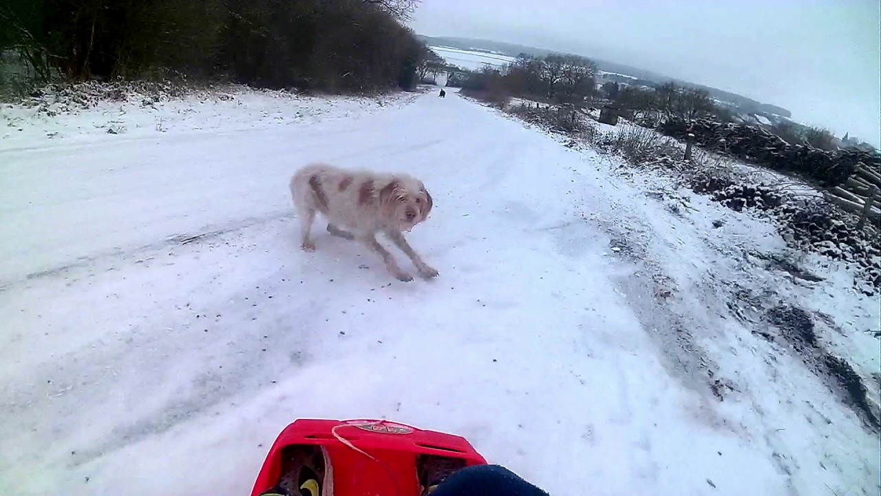 luge extreme sur route gel&eacute;e