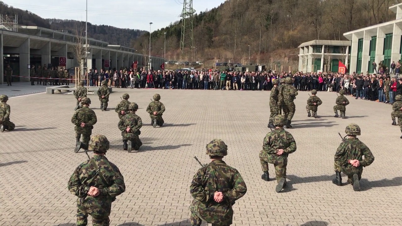 Armée Suisse - Ecole de Section - Section Durussel Bat 143-1 2017