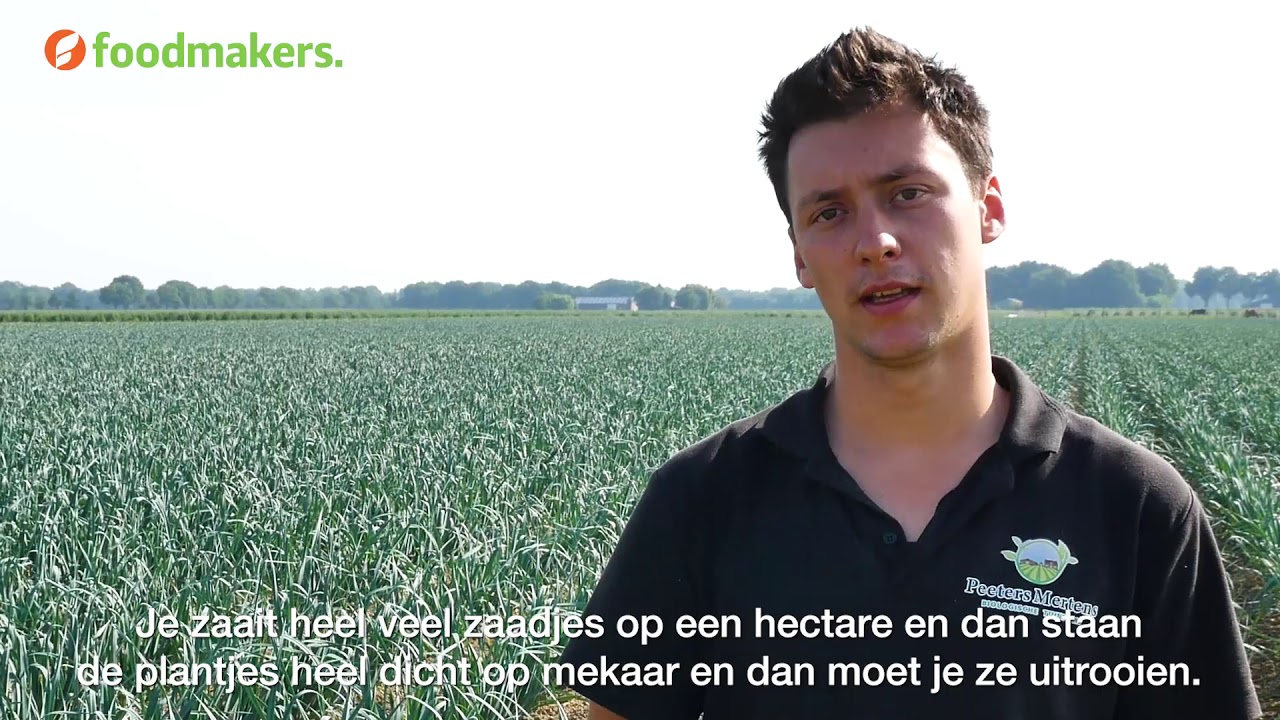 Hoe maak je biologische prei?