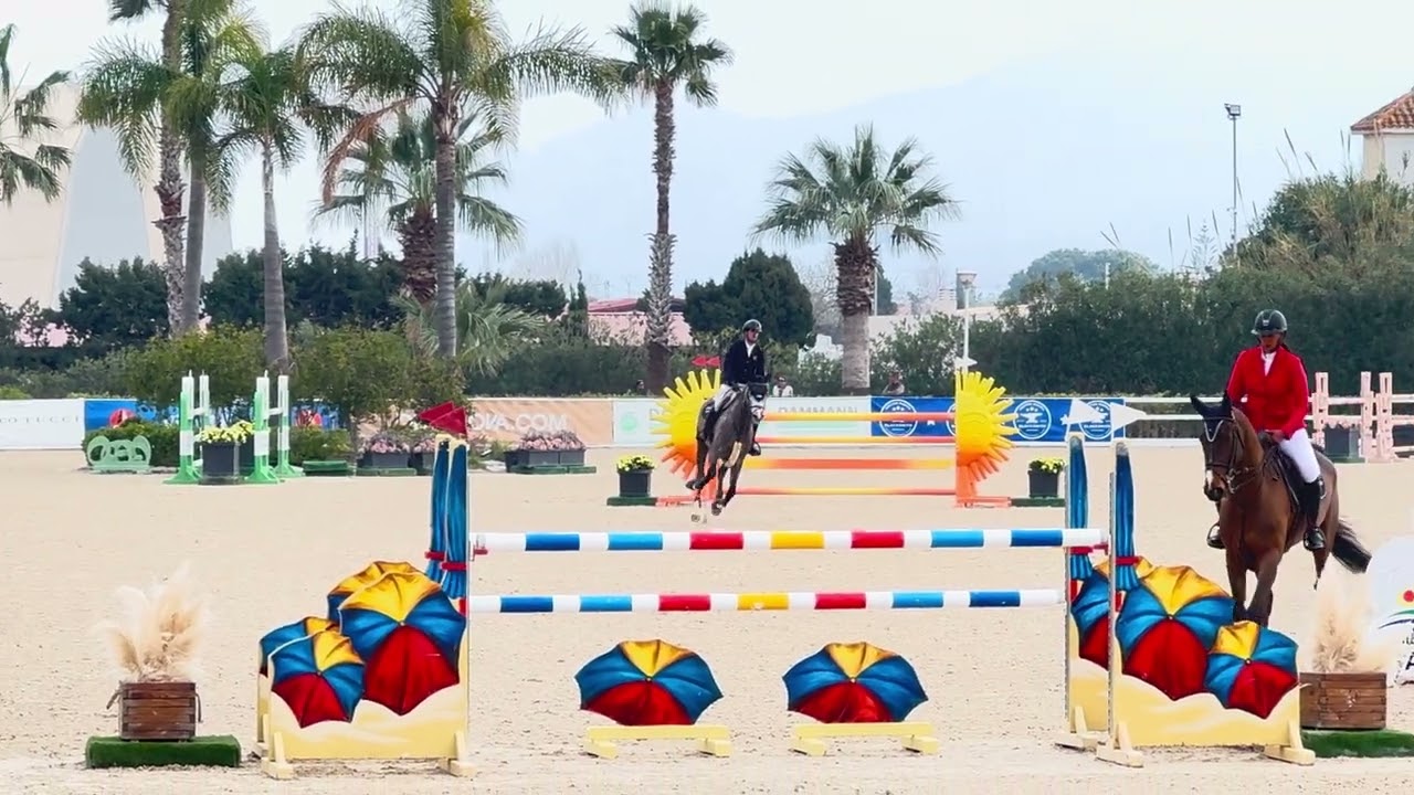 Tomann Domm (7yo Final 1,40) Oliva nova, 25/02.