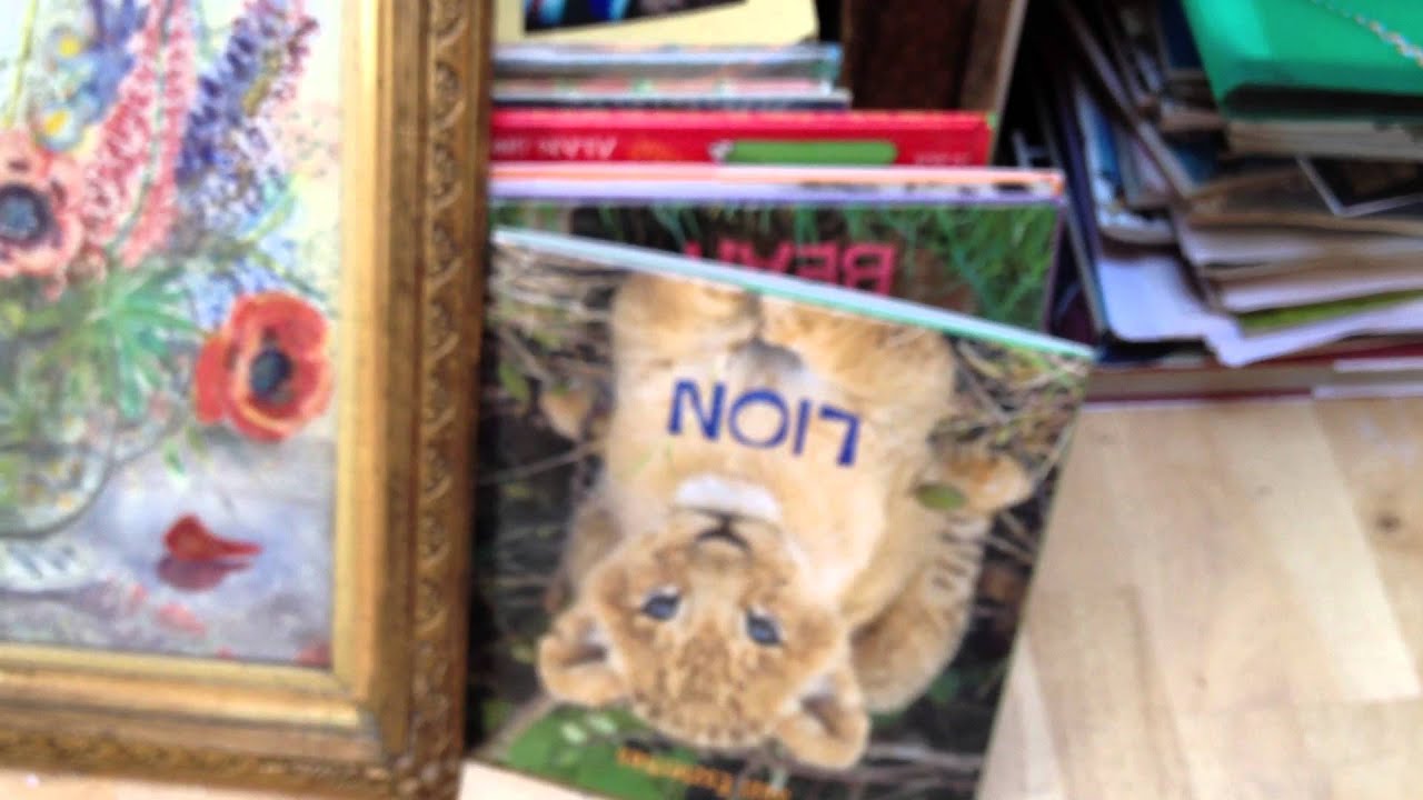 A tour around my studio space: Jackie Morris