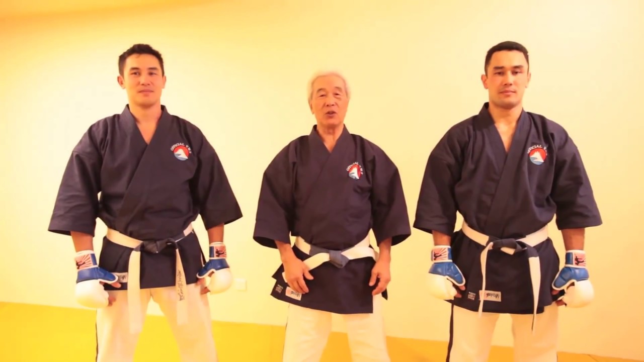 La technique de Yoseikan Budo