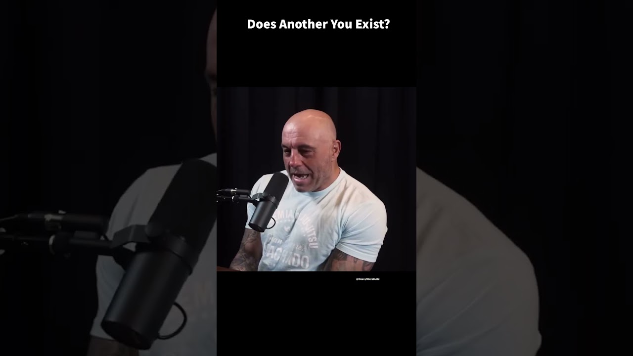 Does Another You Exist? #shorts #LexFridman #JoeRogan