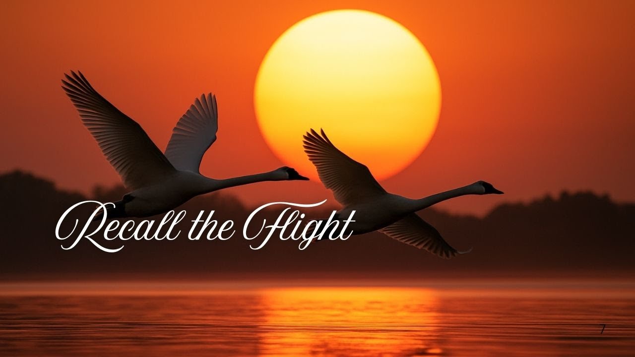 Recall the Flight | The World's Best Relaxing Instrumental Music | Healing Frequency Meditation