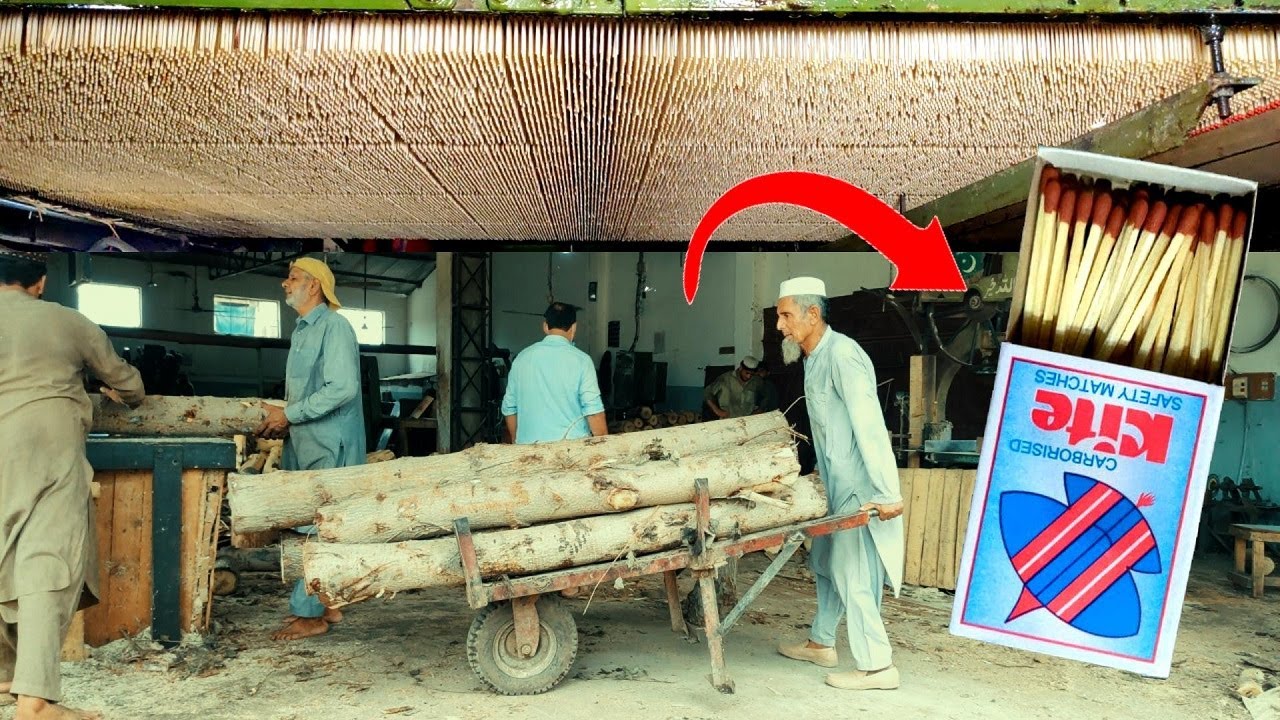 How Making Matches Sticks Manufacture Inside Massive Factory | Safety Match Box