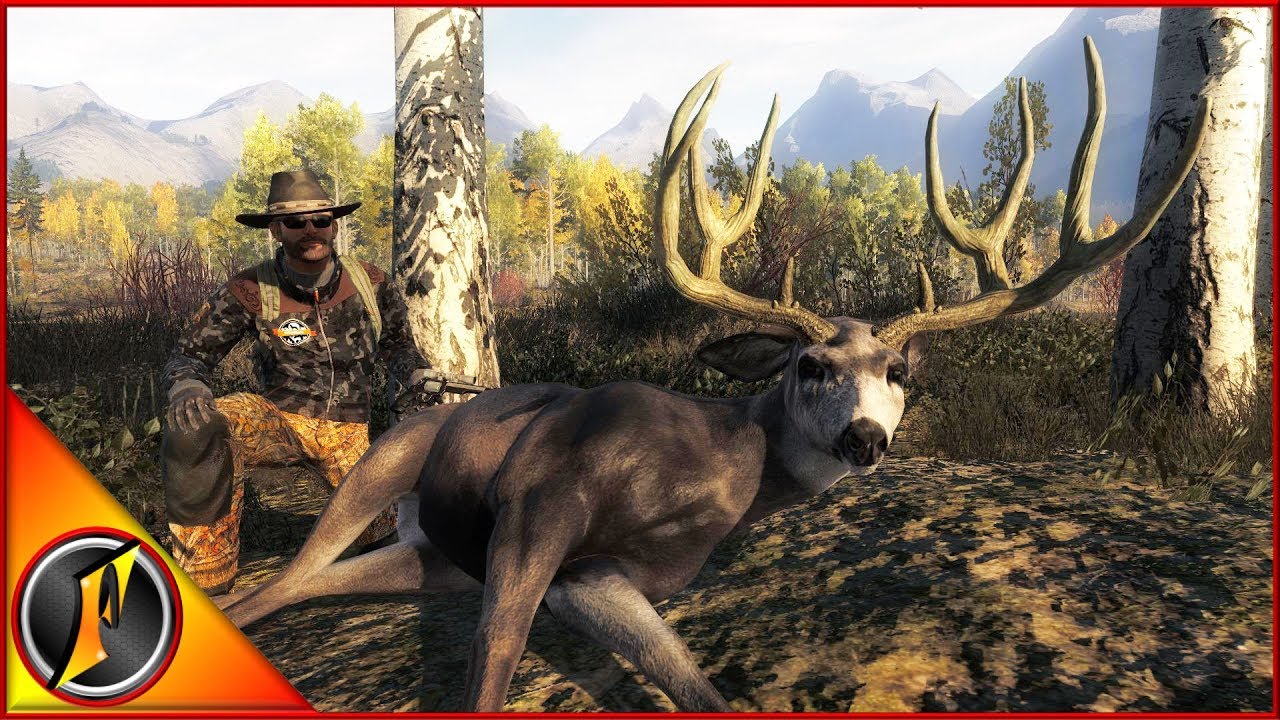 Chasing Trophy Mule Deer on Timbergold Trails!