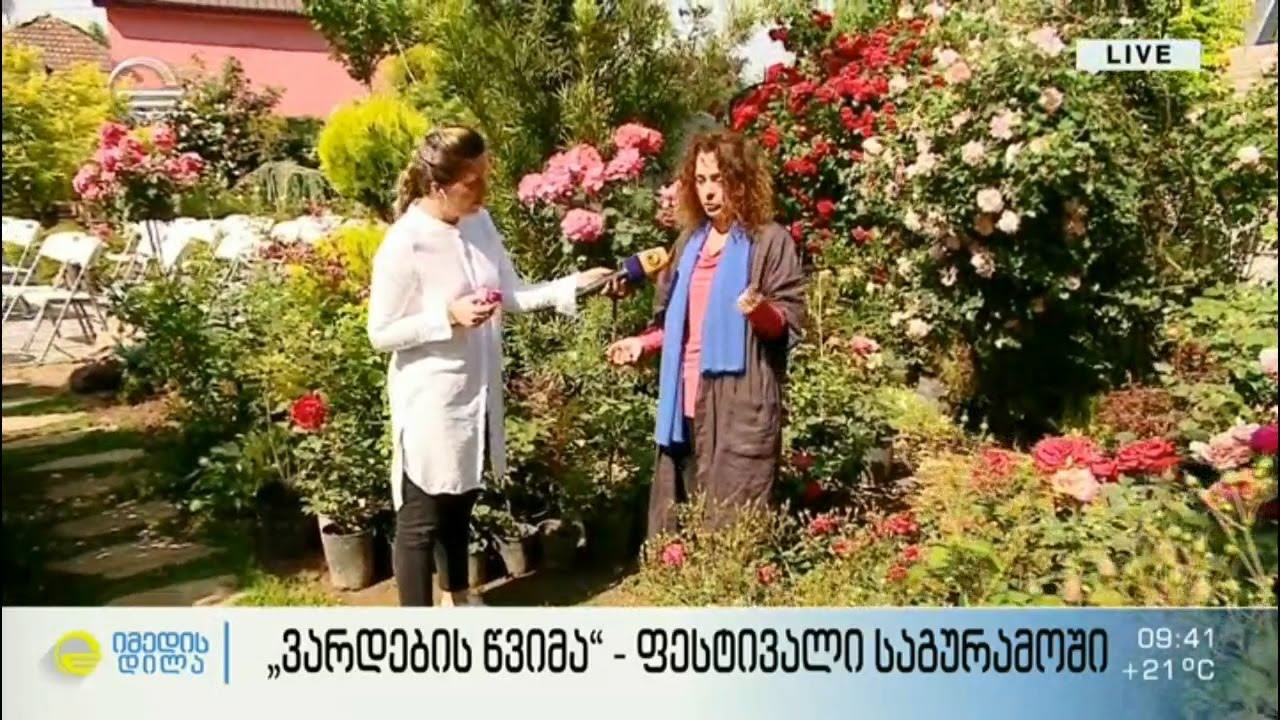 „ვარდების წვიმა“  -  ფესტივალი საგურამოში