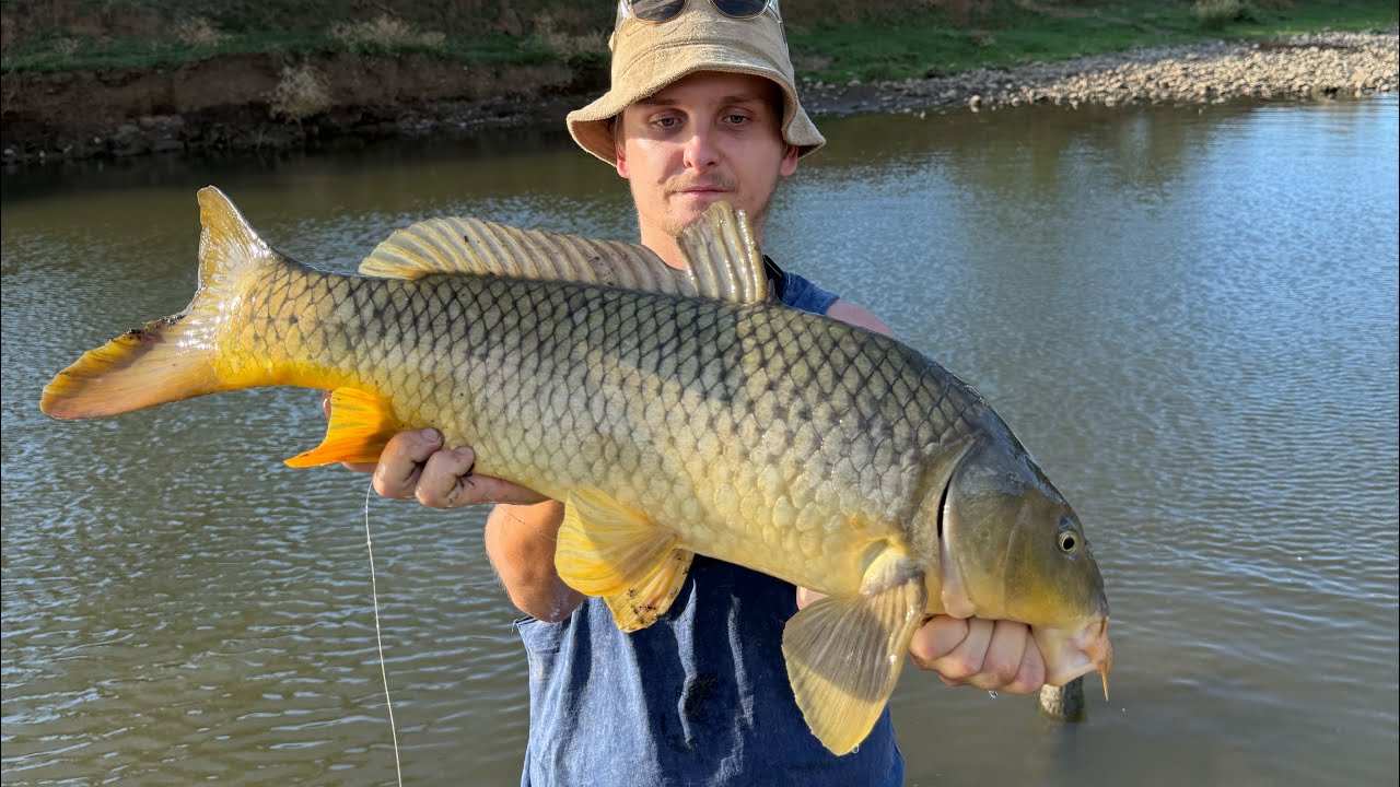 Soft plastic fishing for Carp.  | Carp Everywhere |