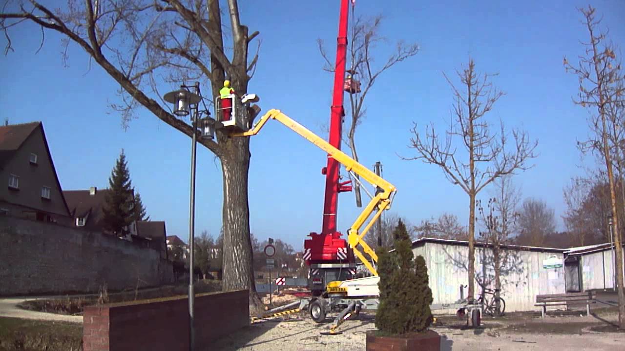 Baumfällung mit 65t Autokran