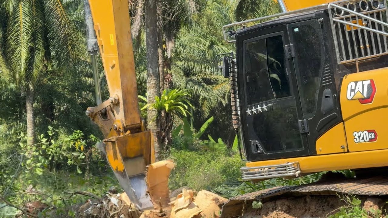 สับต้นปาล์ม ซอยบางๆ รถแรงคนขับฝีมือ CAT 320GX