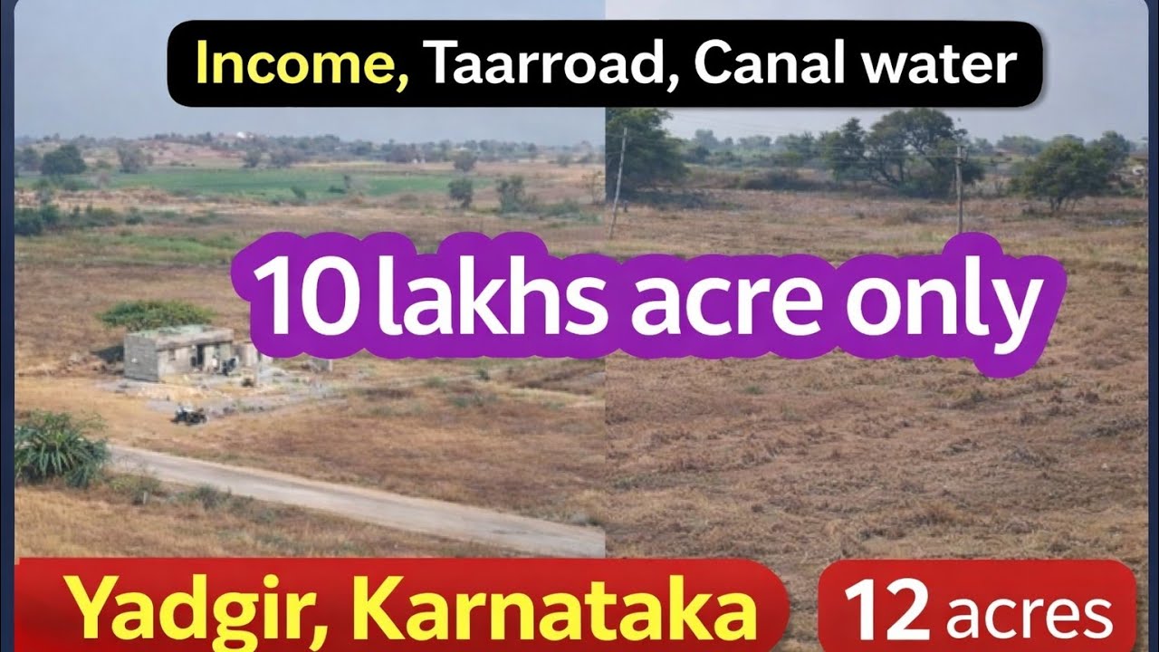 🌱 Low Cost Agriculture Land for Sale, Income ,Canal water| #yadgir| 10 Lakhs Acre | 99Plots