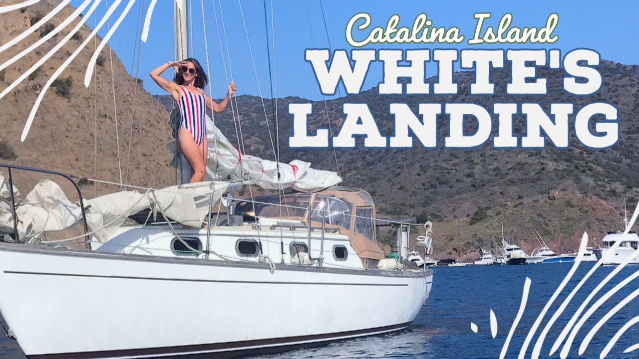 White's Landing - Catalina Island: Anchoring, Sailing, and Bald Eagles!