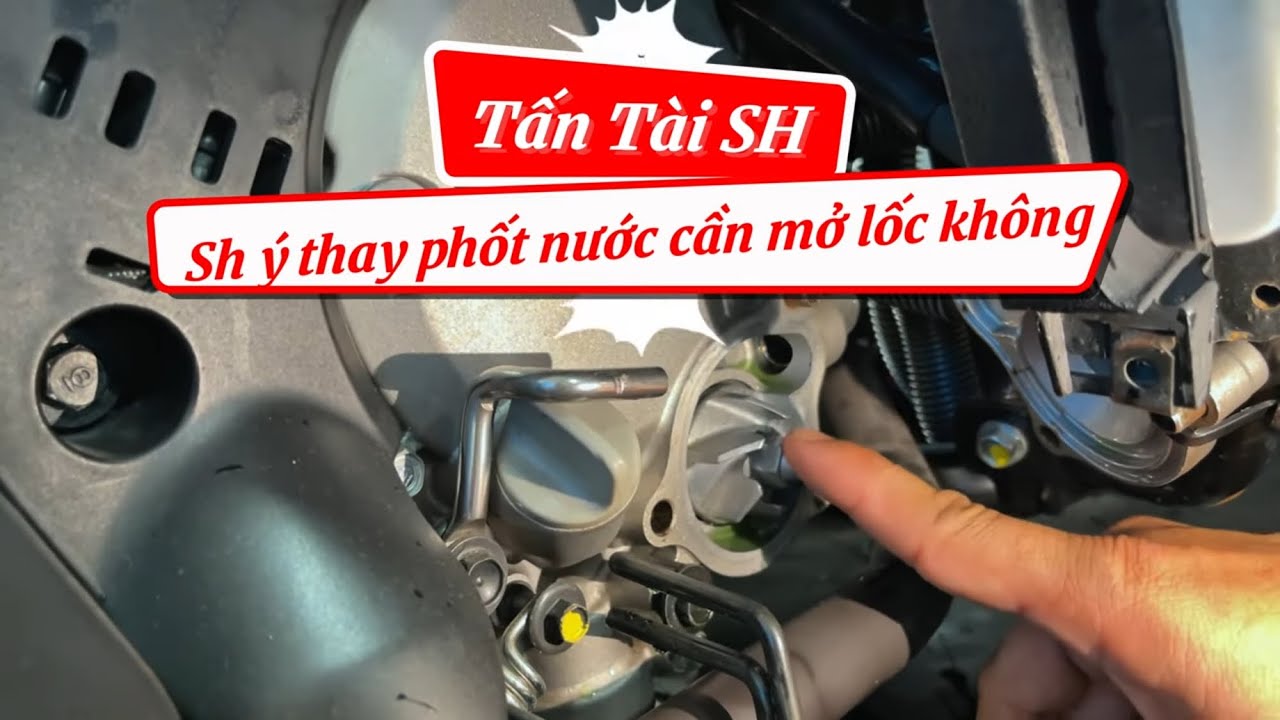 Sh &yacute; bị x&igrave; nhớt