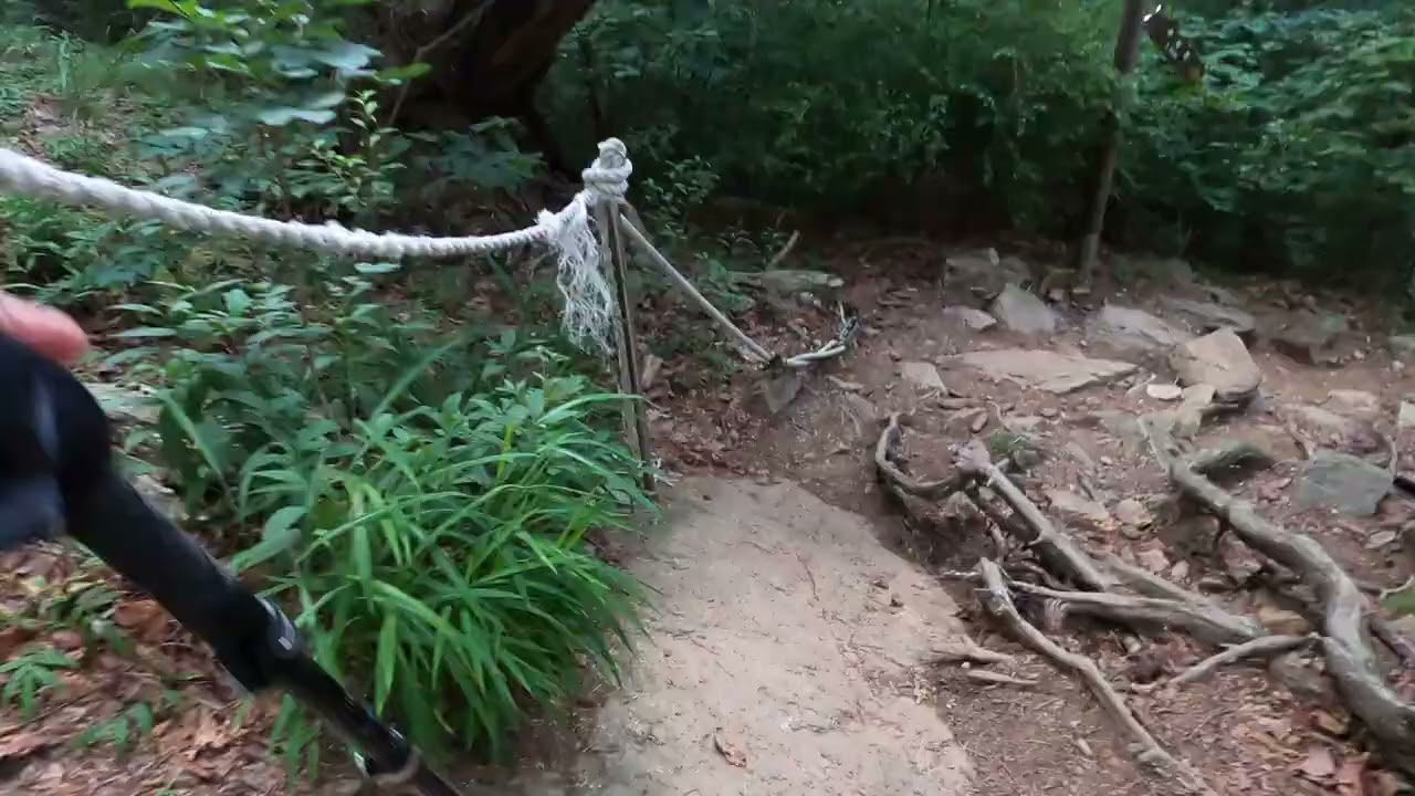 2023 08 03 유명산 하산 1080