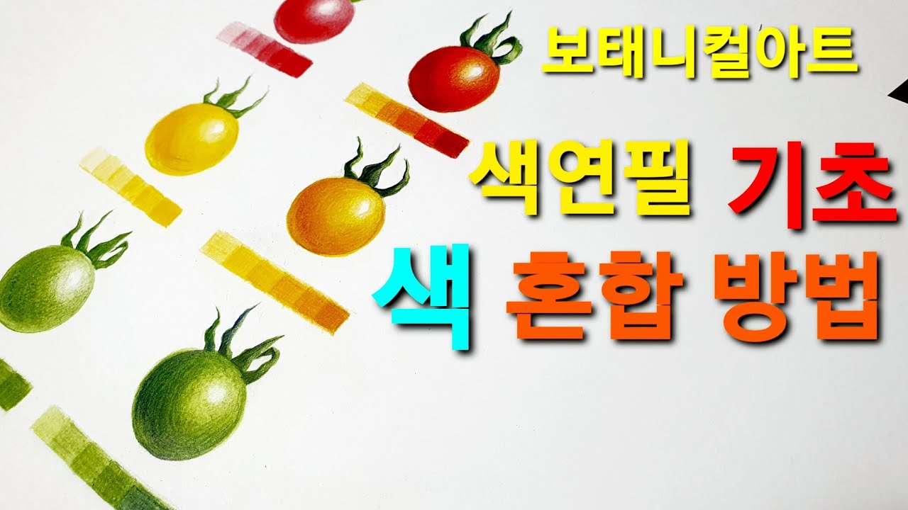 보태니컬아트 색연필기초 색혼합방법,색섞기,색연필 혼합해쓰기, Basics