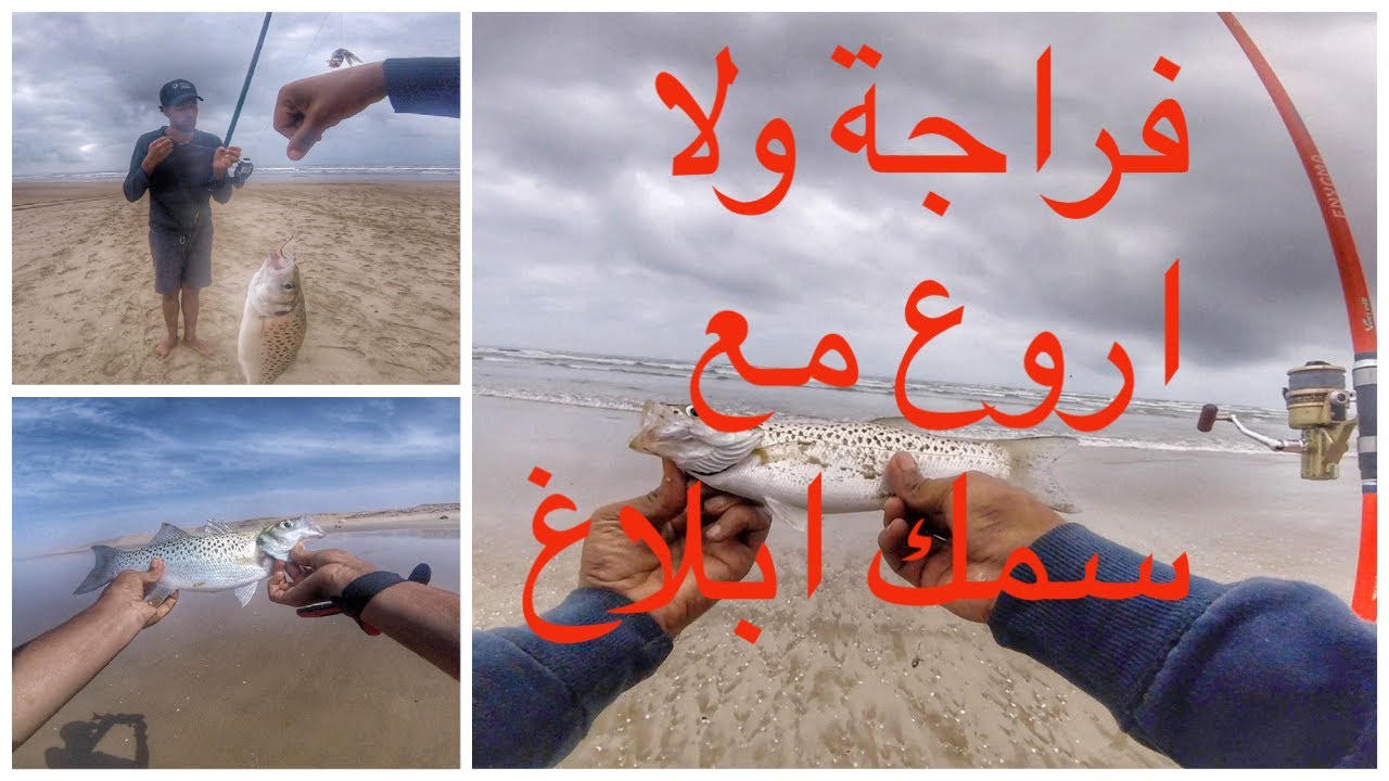 متعة الصيد بالقصبة في الشاطئ الابيض (ابلاغ او النبيرة) pêche au Bar moucheté à la plage blanche .