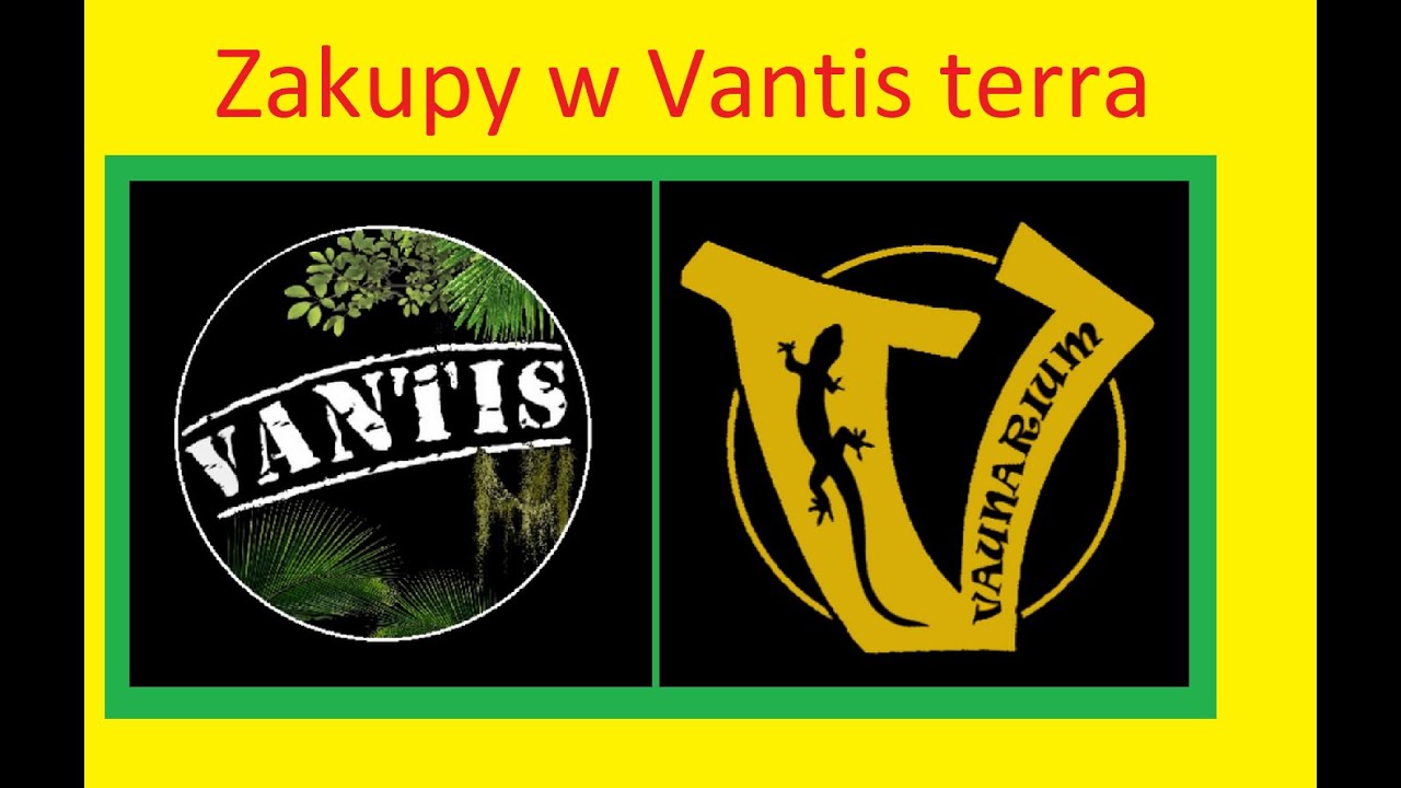 09. Zakupy w Vantis terra.