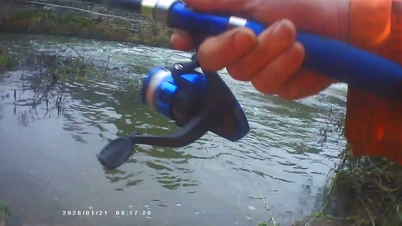 fishing