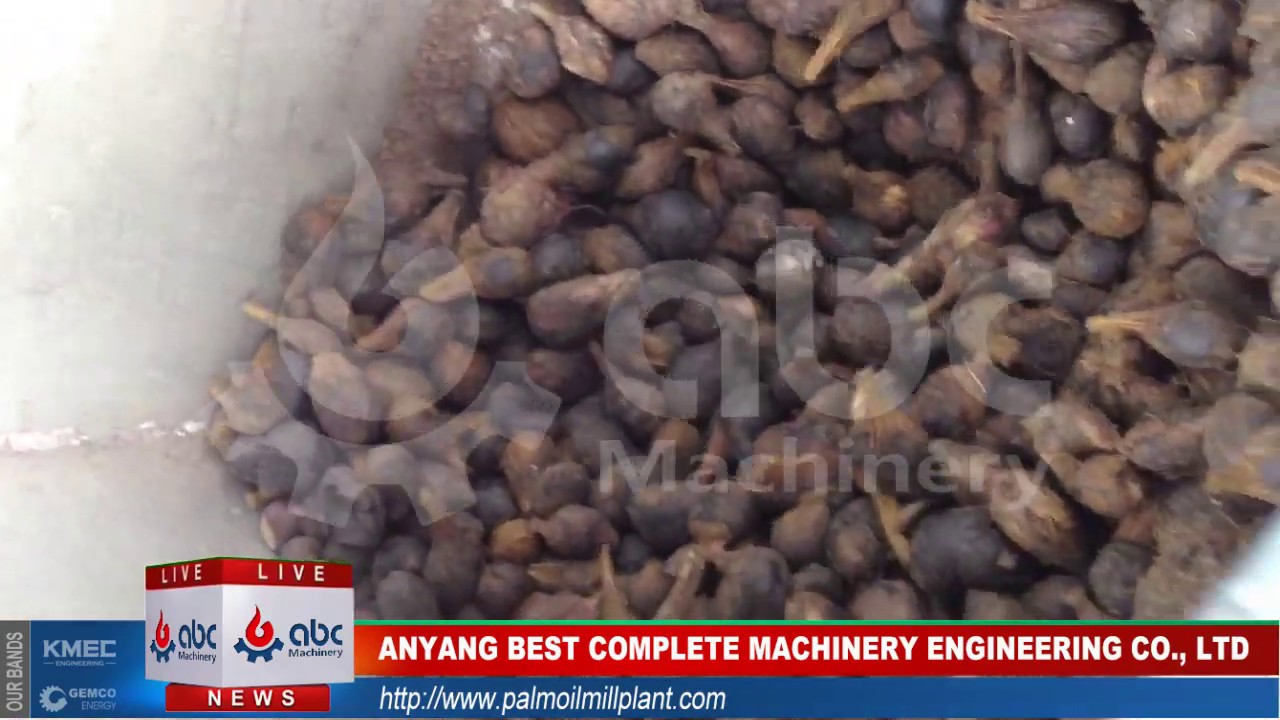Palm Kernel Oil Pressers for Sales