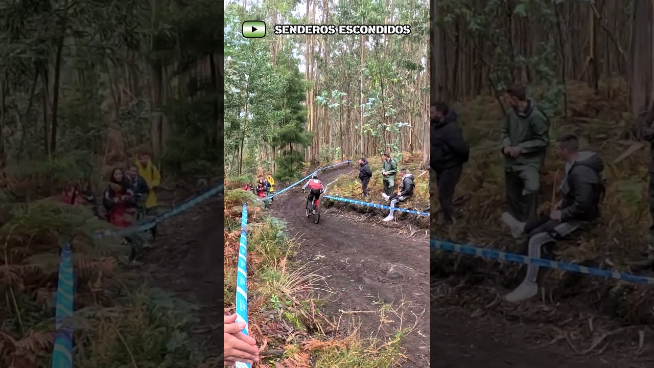 DOWNHILL Kamikazes  #mtb  #downhill  #mtblife #downhillrace