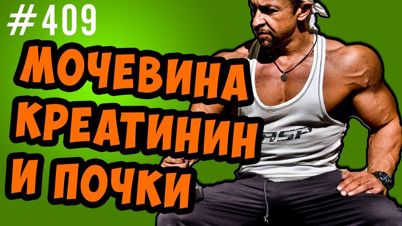 мочевина креатинин в крови и почки