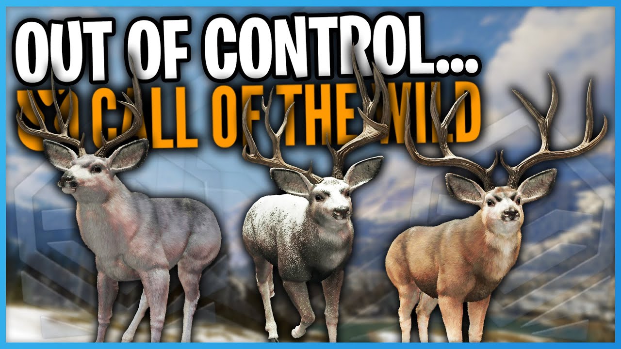 Эта свалка вышла из-под контроля... 10 РЕДКИХ оленей-мулов! | theHunter Call Of The Wild