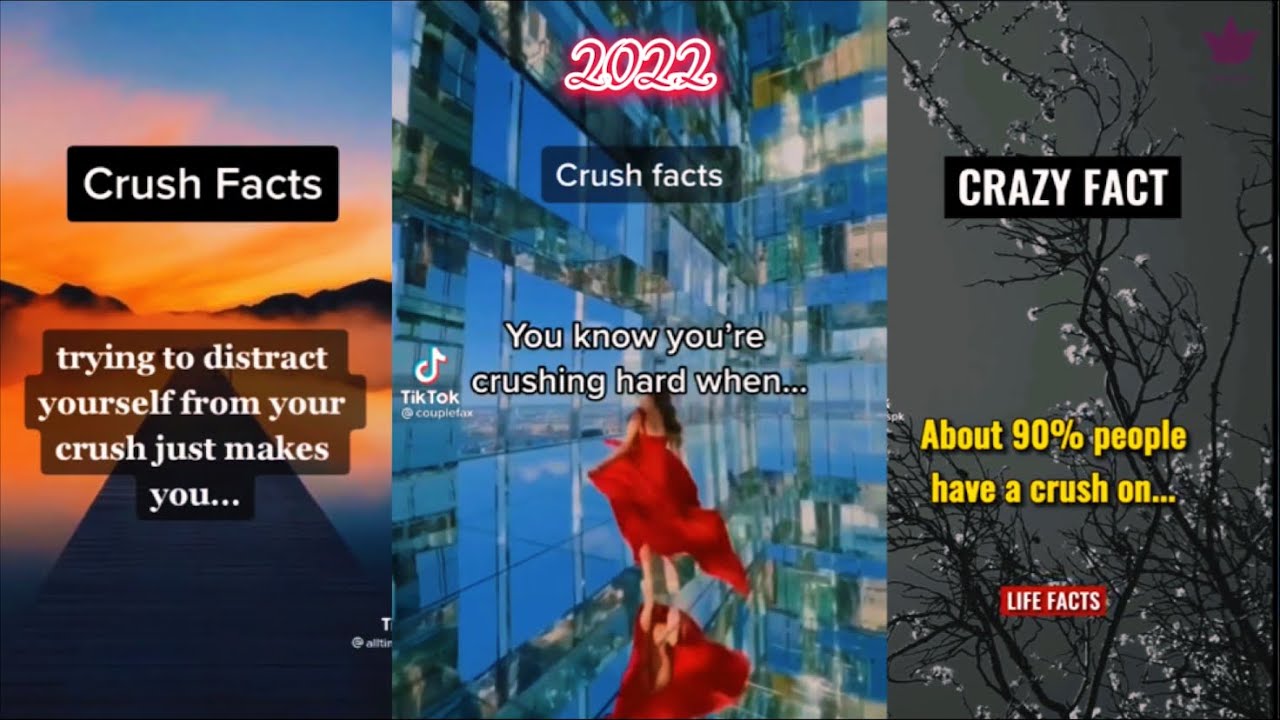 Tiktok Crush Facts 2022