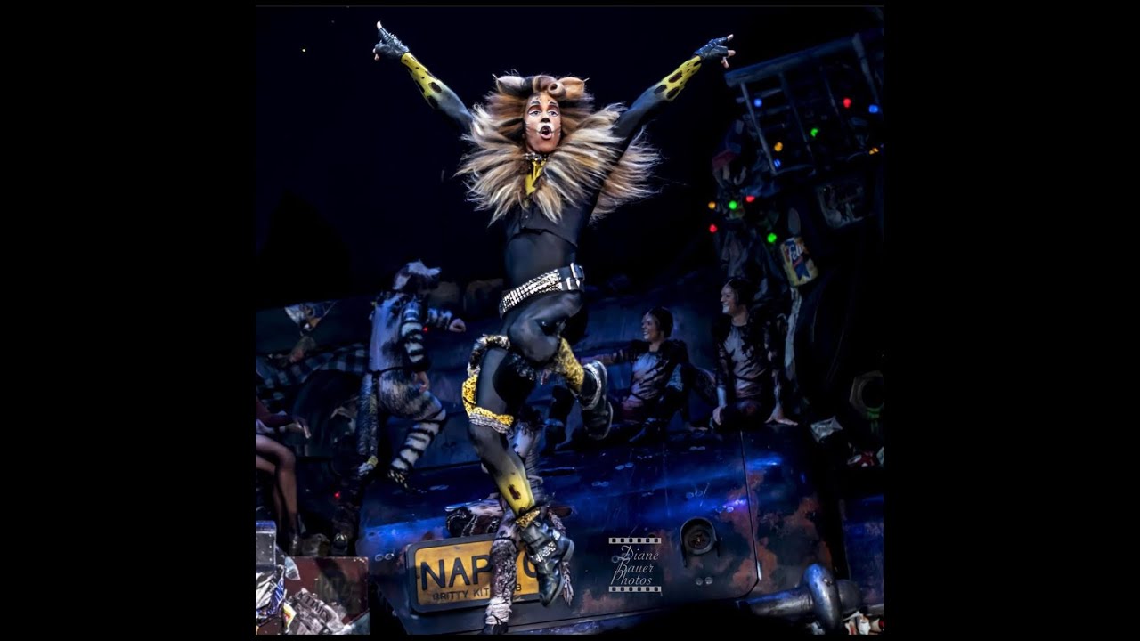 Alex Snova - Rum Tum Tugger - CATS the Musical. Vienna revival 2019/22