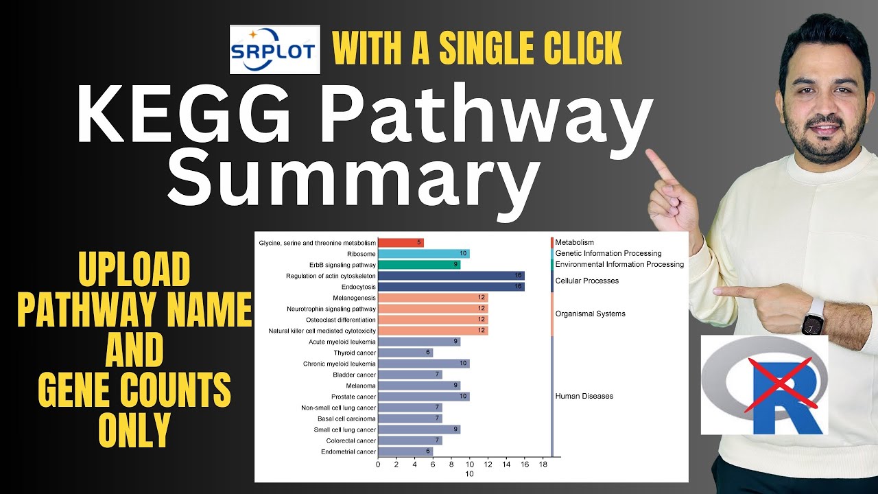 How to create a KEGG pathway summary plot?